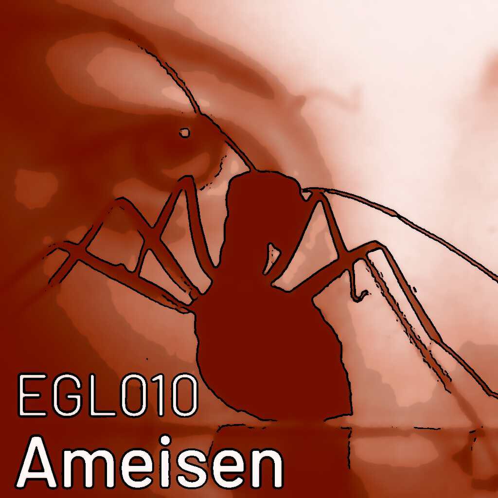 EGL010 Ameisen: Über die evolutionsbiologischen Vorteile einer staatenbildende Art