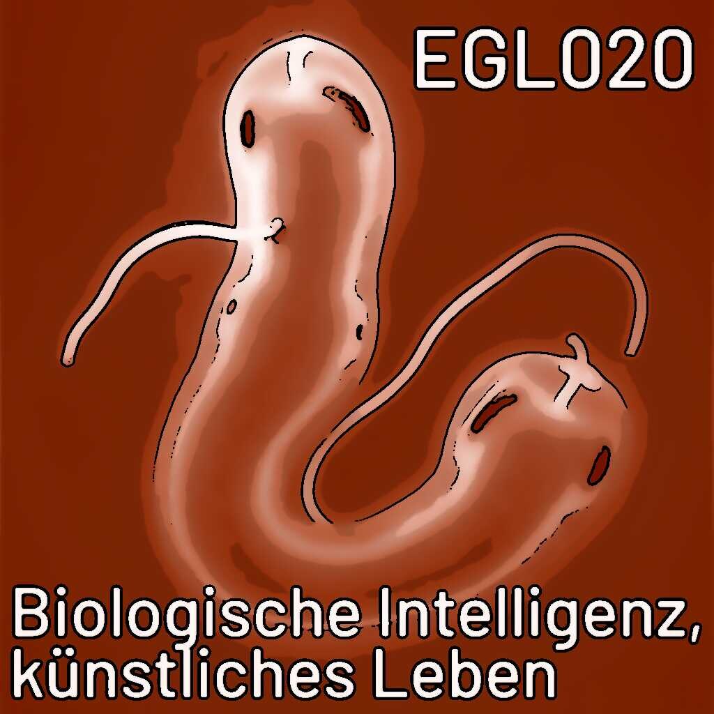 EGL020 Biologische Intelligenz und künstliches Leben: Künstliche Intelligenz Teil 3